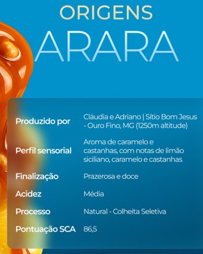 Arara-4-800