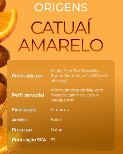 Catuaí Amarelo-4-800